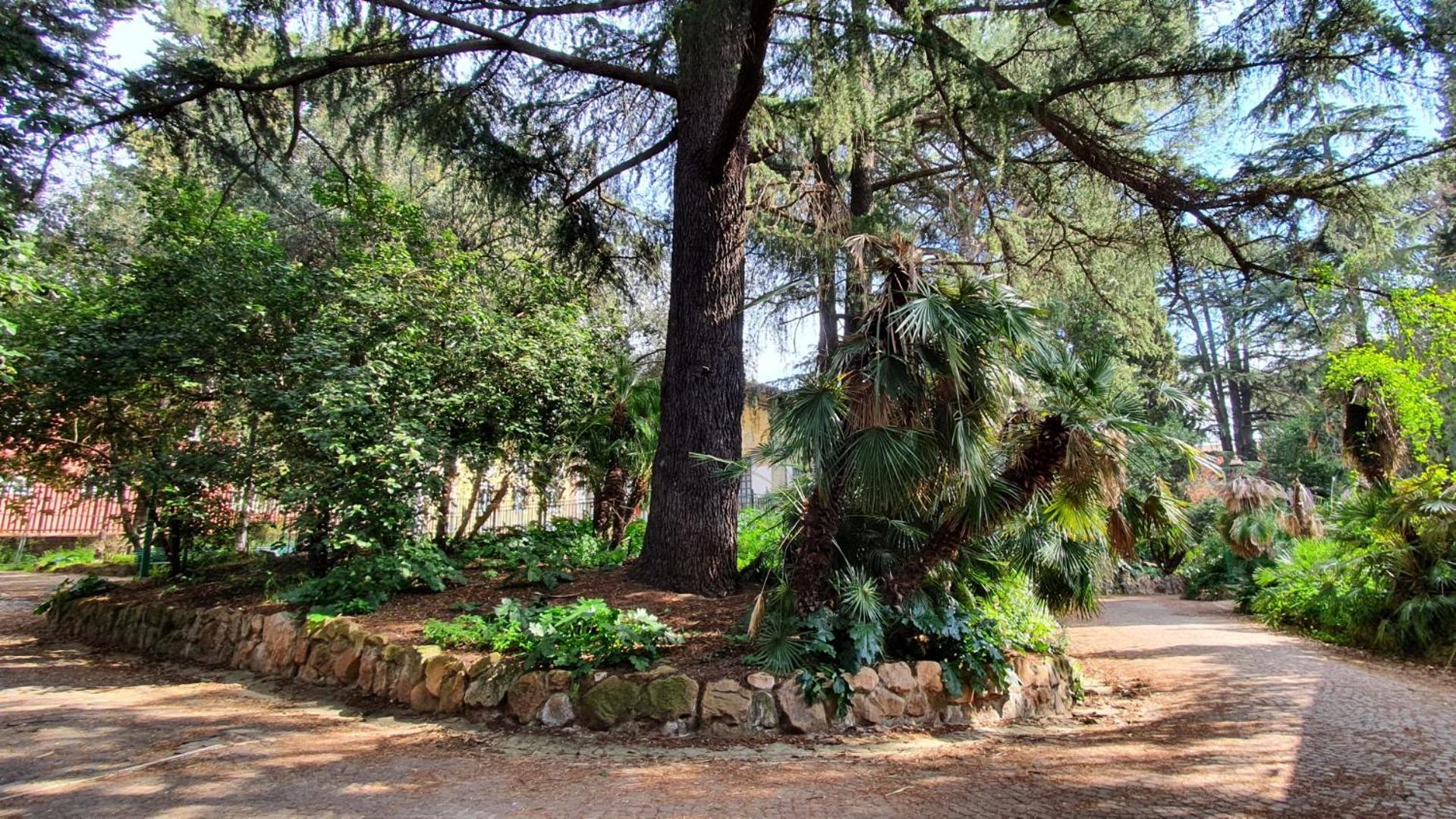 Mamomi House Διαμέρισμα Ρώμη Εξωτερικό φωτογραφία